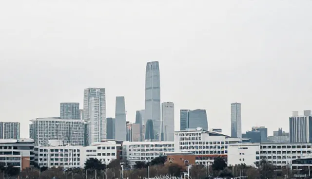贸易系统选型中的性能与适用条件分析